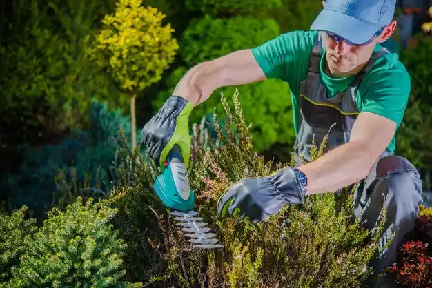 landscaping services Thornwood